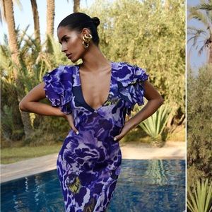 Rat and Boa Lucille dress.